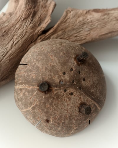 Coconut Shell Bowl6