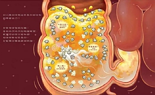 雙美-神奇的便便工廠:食物的奇妙旅程7