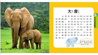 雙美-5Q益智教具:動物探險隊2