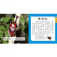 雙美-圖鑑小百科3