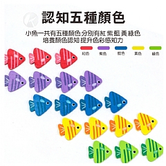 顏色找方向小魚邏輯思考訓練益智類早期教育木製（藍盒包裝）(影片必看)5