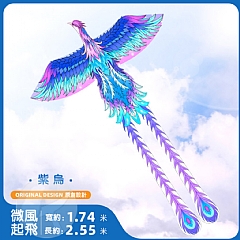 新款紫烏超大 風箏高端國潮空中舞者(含線)8