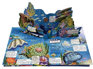 雙美-海洋立體遊戲書4