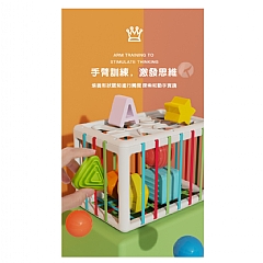 皇兒彩虹塞塞樂障礙取物抓握益智HE0209大長方體 形狀配對塞塞樂4
