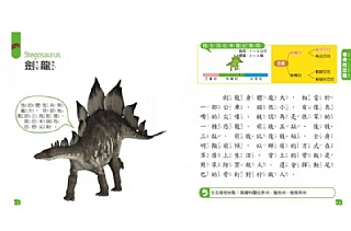 雙美-5Q益智教具:恐龍探險隊3