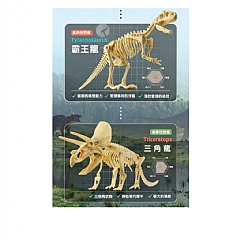 化石考古挖掘玩具 考古挖寶 恐龍化石 605-6 霸王龍(影片必看)8