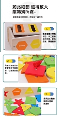 幾何配對蒙特梭利顏色形狀認知教具 1331 (影片必看)4
