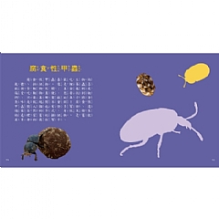 雙美-圖鑑小百科6