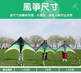 成人兒童風箏大草原露營微風易飛超美尾巴風箏(影片必看)線另售4