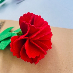 親手作母親節手工DIY材料包 康乃馨 紙卡吊飾(影片必看)4
