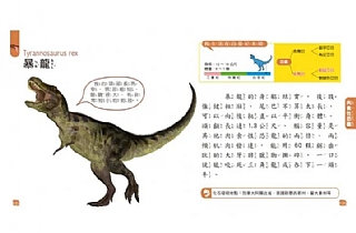 雙美-5Q益智教具:恐龍探險隊2