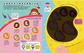 雙美-探照燈找一找：透視身體大解密3