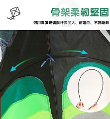 成人兒童風箏大草原露營微風易飛超美尾巴風箏(影片必看)線另售3