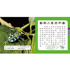 雙美-圖鑑小百科5