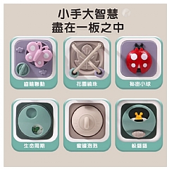 蒙特梭利幼兒智力探索典藏忙碌板（昆虫探索版）JY18009(影片必看)6