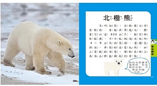 雙美-5Q益智教具:動物探險隊3