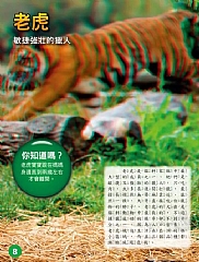 風車-兇猛野性,動物探險4
