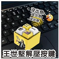 沒出息王世堅 語錄發音發光鑰匙圈解壓縮按鍵玩具(影片必看)5