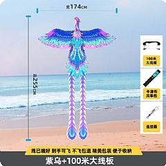 新款紫烏超大 風箏高端國潮空中舞者(含線)7