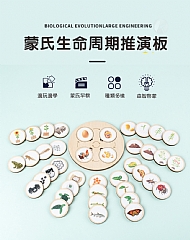 【現 貨】A-蒙特梭利木製 生命週期推演板托盤動植物生命週期變化啟蒙教育玩具拼圖1