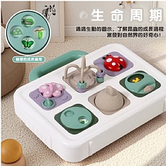 蒙特梭利幼兒智力探索典藏忙碌板（昆虫探索版）JY18009(影片必看)2
