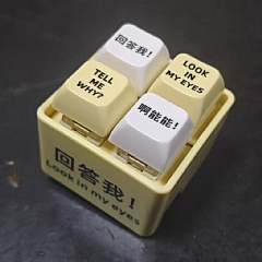 回答我 語錄發音發光鑰匙圈解壓縮按鍵玩具(影片必看)4