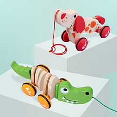 早教學步期全腦發展鱷魚 拖拉車 手拉繩(影片必看)7