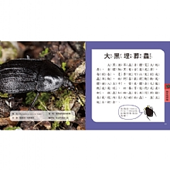 雙美-圖鑑小百科7