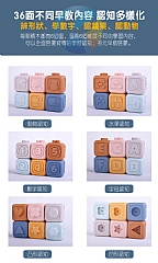 考拉蒙特梭利套裝TT547 無尾熊7
