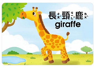 雙美-1歲早教卡：動物4