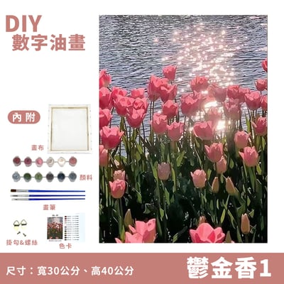 《DIY數字油畫》附顏料畫筆 壓克力畫 數字填色畫 數字彩繪 填塞油畫 DIY彩繪畫9