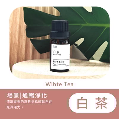 《luss 香氛油性精油》精油 擴香木精油 無水香氛11