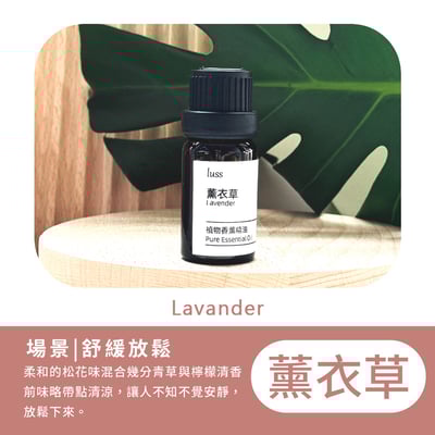 《luss 香氛油性精油》精油 擴香木精油 無水香氛9