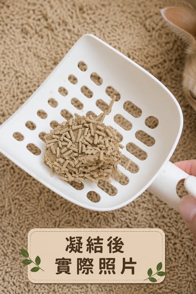 稻殼貓砂-1包/天然強效除臭3