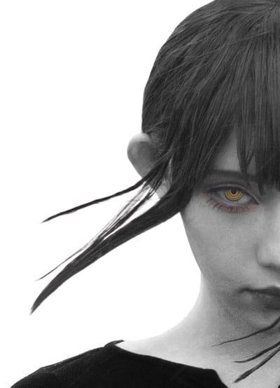 麵MIAN-MAKIMA Cosplay Photobook1