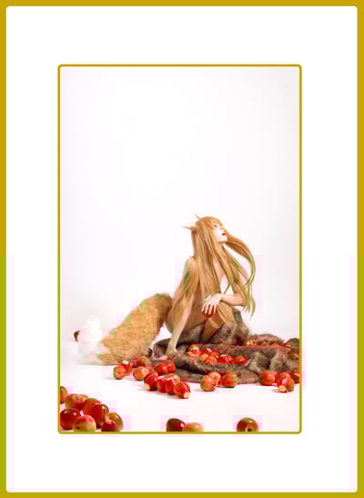 麵MIAN-FF43-Horo's Cosplay Photobook1