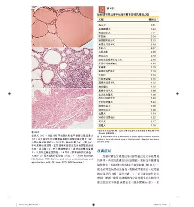 《書》小動物內科學，第六版（中冊）6