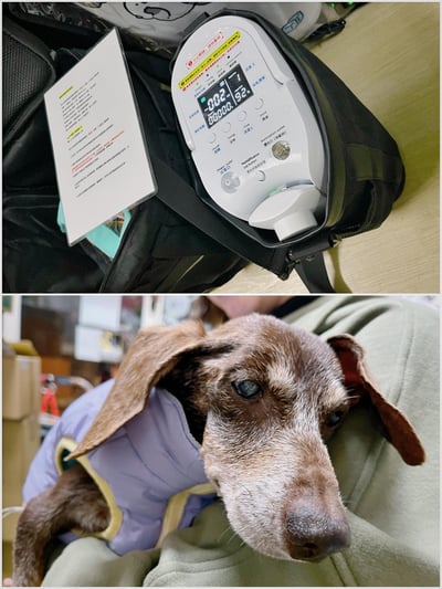 【新北板橋-租借】寵物用攜帶式氧氣機 / 製氧機 說明頁 (長短期租賃) (車充、電池)16