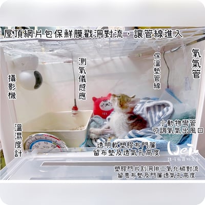 【寵物氧氣房注意事項】自製氧氣房DIY方法 - 圍片組裝/整理箱改造/籠子/外出 經驗分享5