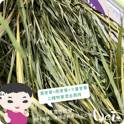 WOOLY高原的混合牧草(二種混合草)2026新款3