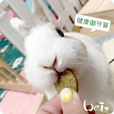 OXBOW健康御守寶 柔亮寶錠2