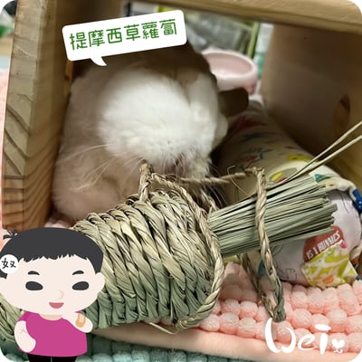 OXBOW提摩西草蘿蔔6