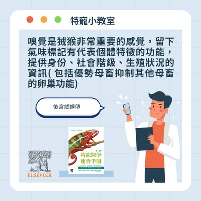 《書》特寵醫學速查手冊 第二版(現貨)3