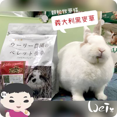 WOOLY義大利黑麥草顆粒牧草條(補助食品)2