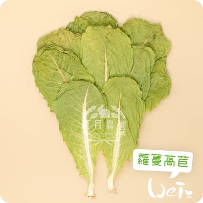 順月農園 乾燥脆脆菜4