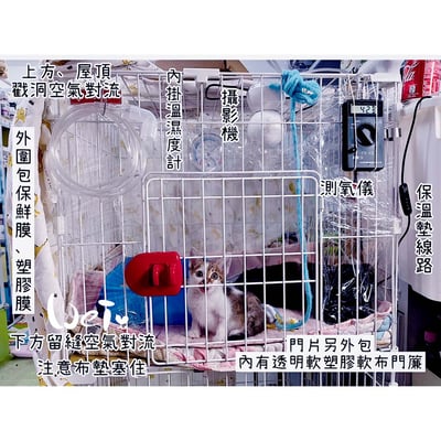 皆已出租無現貨【新北板橋-租借】寵物氧氣房用測氧儀 (便攜式 O2 氧氣濃度檢測儀 CY-12C )3