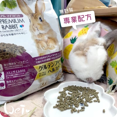 日本NPF恩貝護 無麩質專業配方(優益兔)5