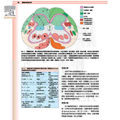 《書》獸醫臨床神經解剖學6