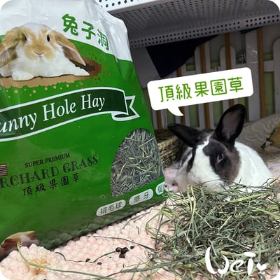 美國Rabbit Hole Hay兔子洞 果園草4