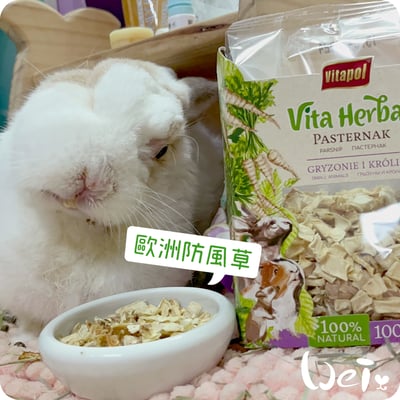 Vitapol維他寶 歐洲防風草點心(NG特價)8